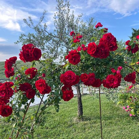 Masso Alle Rose Di Santarsiero Serena Montaione Kültér fotó