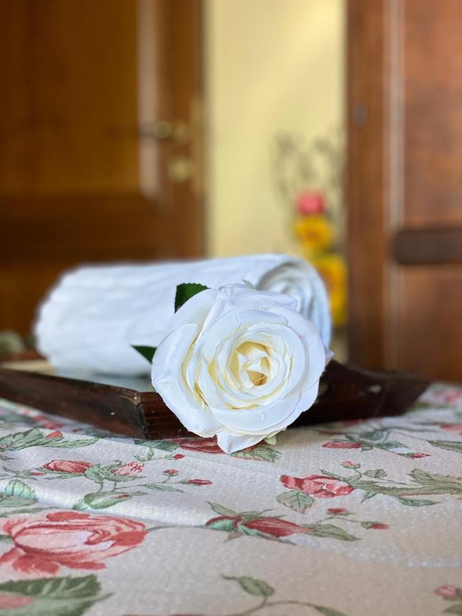 Masso Alle Rose Di Santarsiero Serena Montaione Kültér fotó